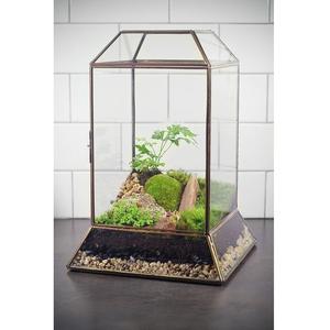 <b>Glass</b> Terrarium Container Clear Display Vessel Ideal For Succulents Air Plants And Stylish Tabletop Decoration - Product Image 3