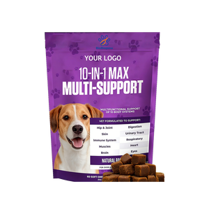 OEM/ODM 10 en 1 MAX Complément multivitaminé à mâcher pour chien avec glucosamine, MSM et probiotiques, supplément multivitaminé quotidien à mâcher pour animaux de compagnie - Product Image 1