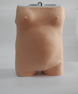 Modelo de PVC Computarizado Avanzado para Entrenamiento en Control de Maternidad/Natalidad, Obstetricia, Ginecología, Escuela de Ciencias Médicas - Product Image 4