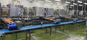 Máquina Peladora <span class=keywords><strong>de</strong></span> Camarones/Anchoas Automática y Eficiente <span class=keywords><strong>de</strong></span> Corte Múltiple Qingdao Xiaodao para Grandes Plantas <span class=keywords><strong>de</strong></span> Procesamiento <span class=keywords><strong>de</strong></span> Mariscos - Product Image 4