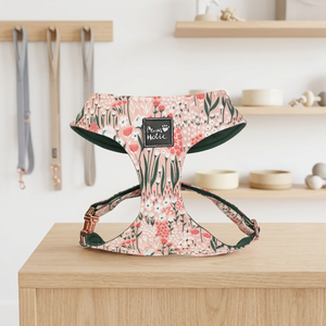 Fashion Luxury Cotton <b>Dog</b> Cat <b>Harness</b> <b>Harness</b> Cotton Elegant Personalized Simple Cute Style Buckle Closure for <b>Large</b> <b>Dogs</b> OEM OD - Product Image 1