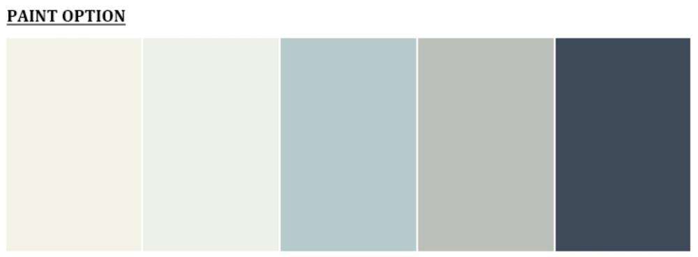 Paint option