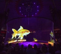 Pantalla de Malla Holográfica Invisible de Alta Transparencia para Espectáculos en Vivo, Conciertos y Teatro