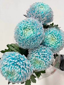 Nhà Máy Outlet Giá Rẻ Nhựa Bền Hình Ống Trong Suốt Hoa Lưới Túi Nụ Bảo Vệ Tay Áo Đóng Gói Tăng Net - Product Image 4