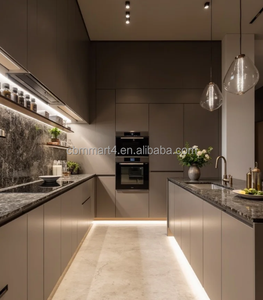 Moderne design keukenkastjes met matte lakafwerking voor appartementenproject in <span class=keywords><strong>Dallas</strong></span> - Product Image 1