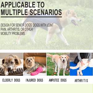 Yaralı köpek tam vücut desteği Sling yastıklı yelek ön ve arka bacak köpek Sling taşıyıcı yürüyüş ayarlanabilir köpek asansör koşum - Product Image 4