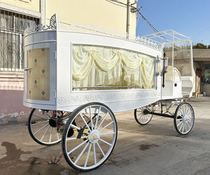 Nuevo Coche Fúnebre Eléctrico Personalizable, Carroza Fúnebre con Caballos, Carroza Fúnebre Tirada por Caballos - Product Image 6
