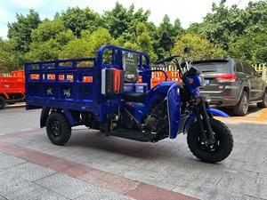 DAYANG familia usado gran oferta alta calidad 150-200cc carga <span class=keywords><strong>de</strong></span> gas triciclo carga pesada - Product Image 4