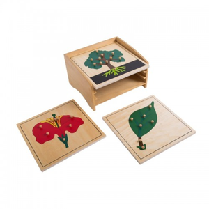 Matériel Montessori en bois, équipement pédagogique, armoire de puzzle botanique Montessori, jouets préscolaires pour enfants, Montessori Bois - Product Image 1