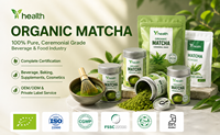 Extrait de Plantes Matcha Vanille en Poudre – Mélange Premium Thé Vert & Vanille – Préparation Instantanée pour Latte, Smoothie, Pâtisserie – OEM ODM