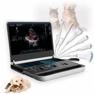 Escáner <span class=keywords><strong>de</strong></span> Ultrasonido Humano Confiable para Diagnósticos, Dispositivo <span class=keywords><strong>de</strong></span> Ultrasonido - Product Image 1