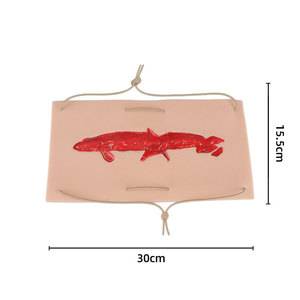 Modèle de simulation de lacerations profondes et de plaies par stabulation DARHMMY - Module de traumatisme en silicone réaliste pour <span class=keywords><strong>la</strong></span> <span class=keywords><strong>formation</strong></span> médicale - Product Image 3