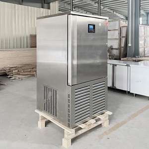 10 Tray Blast Freezer | Small Air Cooling Quick Machine | 2 Door Refrigerator Chiller - Product Image 5
