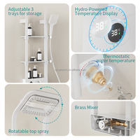 Colonne de douche thermostatique murale monocommande HL-2492 au design brossé, avec pommeau de pluie, pour salle de bain d'appartement