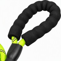 Laisse Réfléchissante pour Chien en Nylon Tressé, Sécurité Nocturne, Poignée Rembourrée Antidérapante, Mousqueton Robuste pour Grands, Moyens et Petits Chiens