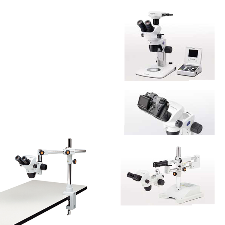 Equipo de laboratorio con fuente de luz ajustable arriba y abajo Microscopio estéreo binocular Microscopio biológico