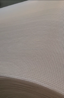 Équipement de stratification en plastique jetable de machine de stratification unique de pantoufle de mousse d'EPE