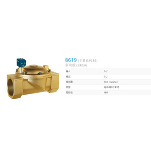 Válvula Solenoide Ceme 8619 G2 de 2 Vías Operada por Piloto con Sellado NBR - Product Image 1