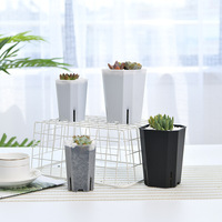 Pot Plastik Persegi Tinggi 15*18.3cm, 3 Warna, Besar, untuk Sukulen, Kaktus, dan Bunga