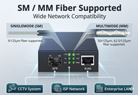 Convertisseur de média fibre optique 2.5G RJ45 vers SFP 20KM-80KM pour réseau CCTV / ISP / FTTH 10/100/1000/2500Mbps