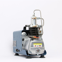 Compresseur d'air portable électrique pas cher 220V 110V haute pression 4500psi 300bar avec arrêt manuel pour plongée, paintball et chasse