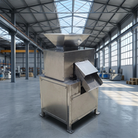 Fruit- en groente-sapcentrifuge met dubbele roller, hoge productiviteit, ontpitten, kloppen, schillen, sap maken, apparatuur voor fruitverwerking, fruitverwerkingsinstallatie