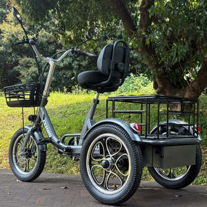 48v 350w Brushless Rear-Drive Foldable Cargo E-Trike 16 Inch Tire 200KG Load Capacity 100-150km Range High Carbon Steel Frame Fo - Product Image 3