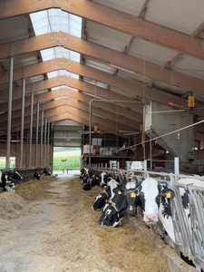 Structure <span class=keywords><strong>en</strong></span> acier léger robuste à installation facile, modèle personnalisé pour fermes avicoles/laitières, hangars à vaches, soudage et découpe - Product Image 6