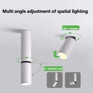 Hiện đại tối giản Led hình trụ COB Downlight 300 + 100 mét có thể điều chỉnh chiều cao Trần Ống ánh sáng - Product Image 3