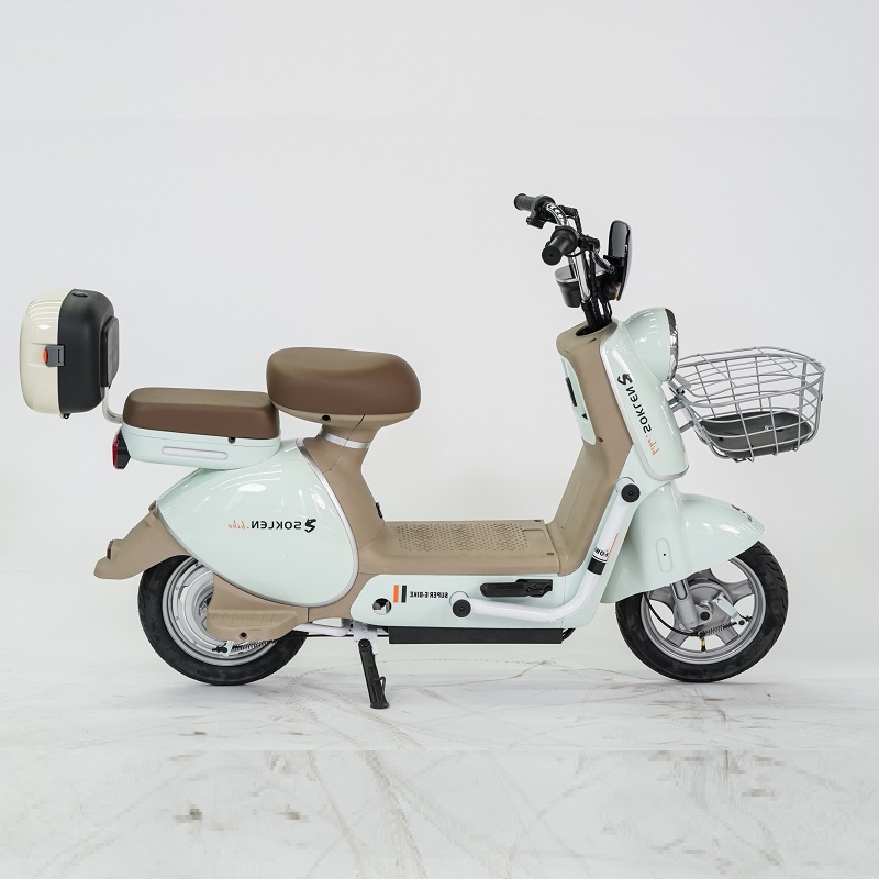 2025 Kiwo Electric Bike 48V 13Ah City Commute