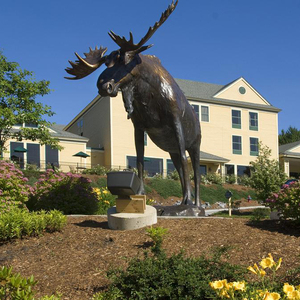 Sculptures d'animaux modernes en <span class=keywords><strong>bronze</strong></span>, grande <span class=keywords><strong>sculpture</strong></span> en métal - Product Image 4