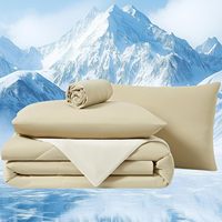 Ensemble de couette rafraîchissante avec drap-housse et 2 taies d'oreiller, taille Queen, pour l'été, respirant et doux, ensemble de 4 pièces