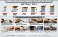 Batterie Lipo rechargeable personnalisable 404257 850mAh 1200mAh 4.44Wh 3.7V Batterie polymère ultra haute densité pour contrôleurs