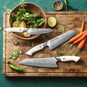 3 pezzi vendita calda giapponese 67 strati acciaio di damasco Premium bianco G10 manico cucina affettare set di coltelli da cuoco