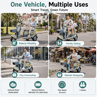 Tuk Tuk Listrik Dua Kursi 800W Motor Senyap Kendaraan Roda Tiga Listrik untuk Transportasi Penumpang Lokal