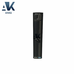 โมดูลเอาท์พุทดิจิตอล triconex D03401 - Product Image 1