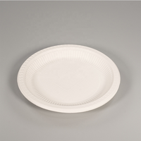 Plats de fête en amidon de maïs et en plastique élégants biodégradables et jetables
