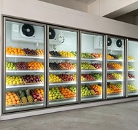 Unité de réfrigération commerciale compacte pour entrepôt frigorifique, congélateur sur mesure avec équipement complet pour la conservation des fruits, conteneur intégré
