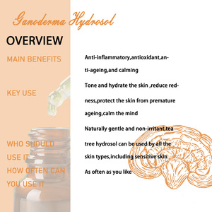 Extrait d'Hydrolat d'Eau de Ganoderma Lucidum (Lingzhi) <span class=keywords><strong>Hydrosol</strong></span> Nouveau - Product Image 4