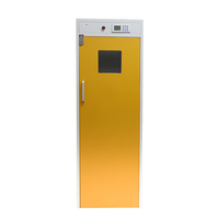 Armoire de laboratoire intelligente tout acier pour bouteilles de gaz avec alarme, sécurité acétylène hydrogène, anti-explosion, verrouillage à clé