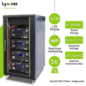 Lywatt 48v Inverter solare batteria 5kw 10kw 100ah 200ah Lifepo4 batteria Cabinet Server Rack Mount batteria agli ioni di litio fosfato
