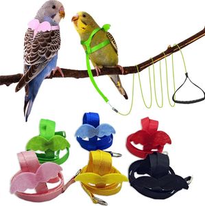 Mascota loro pájaro arnés correa ajustable pájaro vuelo arnés cuerda de tracción con lindo ala para loros - Product Image 1