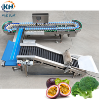 Enkelvoudige eenheid MOQ gewichtssorteermachine fabrieksdirecte levering Shandong oorsprong voedselverwerkingsmachines
