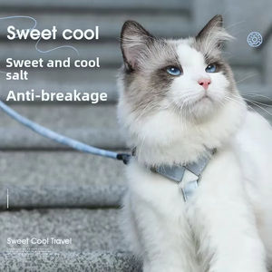 Harnais pour chat personnalisé léger en forme de H anti-évasion harnais gilet réglable de style sport pour animaux de compagnie avec ensemble de laisse pratique facile à porter - Product Image 3