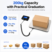 Balance de sol électronique numérique en acier inoxydable de haute qualité avec écran LCD, capacité 200 kg, pour expédition postale