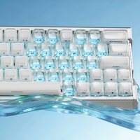 Keycaps transparents ABS+PC Lake Water profil MDA compatibles avec les interrupteurs MX Wooting 60HE V2/80HE/claviers mécaniques