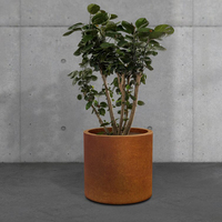 Jardinière cylindrique en acier corten sur mesure, grand pot à plantes rond en métal pour patio, jardin, véranda, décoration extérieure