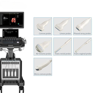 Échographe Doppler Couleur sur Chariot Dawei DW-T30 avec Double Écran 21,5 et 13,3 Pouces pour Usage Clinique Hospitalier Humain - Product Image 3