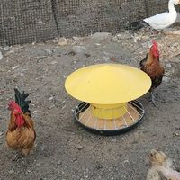 Mangeoire à poulet rurale de taille personnalisable, résistante au vent et à la pluie