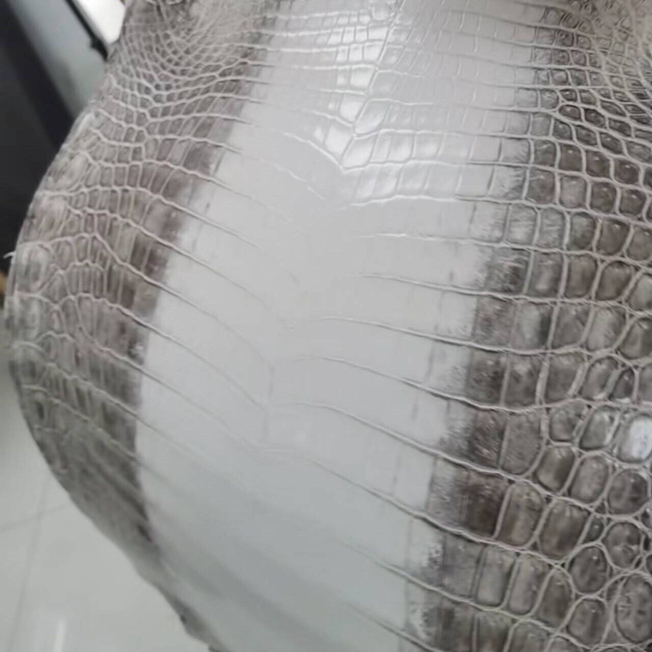 Гималайская цветная кожа аллигатора, кожа аллигатора под заказ